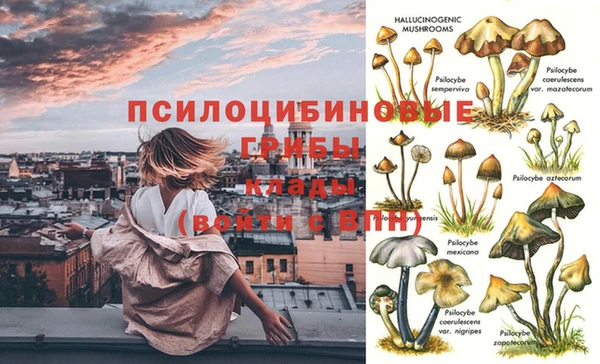 трава Абдулино