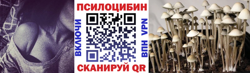 сколько стоит  Владикавказ  Галлюциногенные грибы Psilocybe 